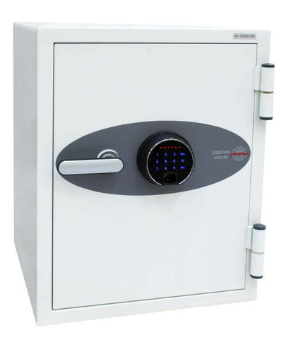 picture of Phoenix Datacare DS2002 Size 2 Data Safe