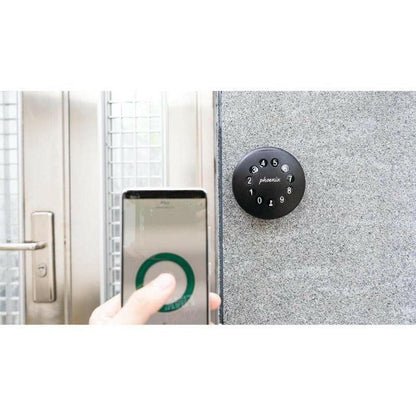 picture of the Phoenix Palm Smart KS0211E Wall Key Safe