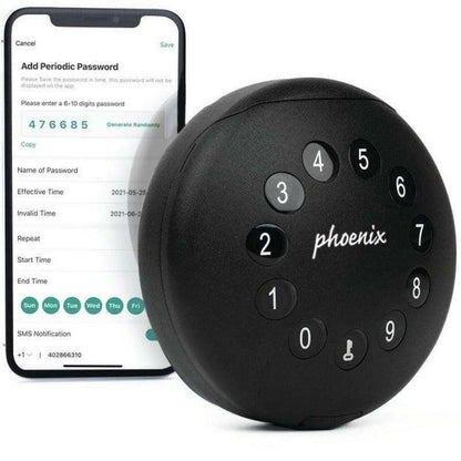 picture of the Phoenix Palm Smart KS0211E Wall Key Safe