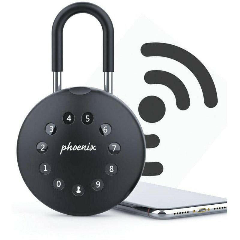 picture of the Phoenix Palm Smart KS0213ES Steel Padlock Shackle Key Safe